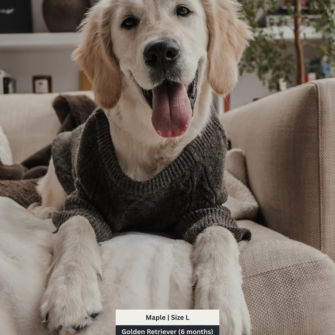 By Teddy Cable Dog Crewneck