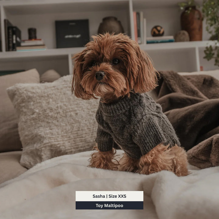 By Teddy Cable Dog Crewneck