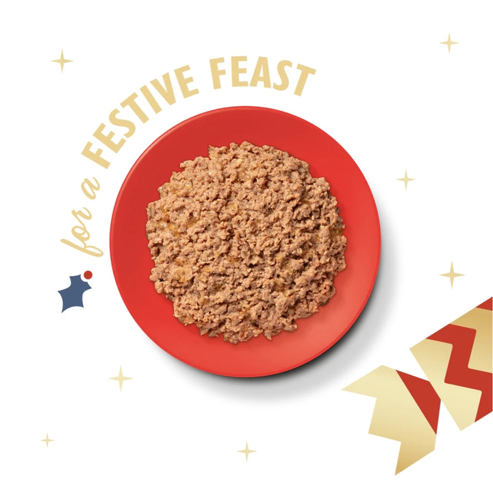 Lily's Kitchen Xmas Cat Turkey & Salmon Pate