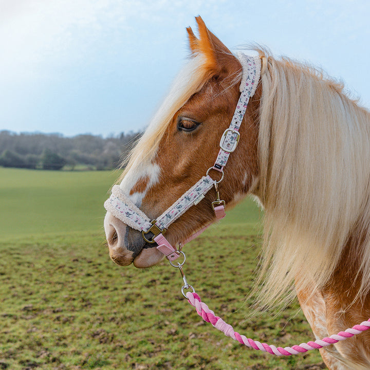 Cath Kidston Cowgirl Headcollar & Leadrope Set