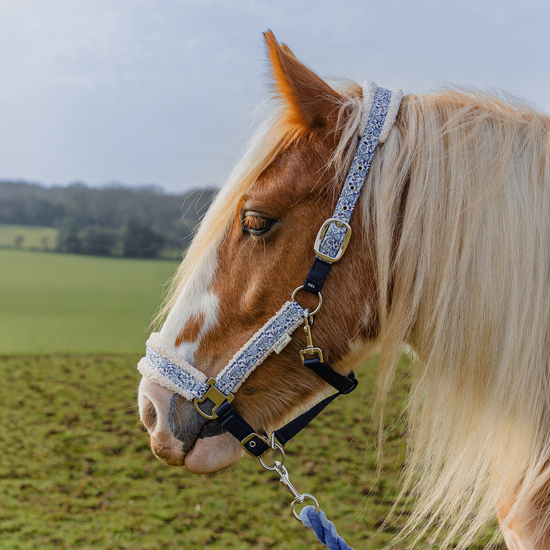 Cath Kidston Blue Strawberry Headcollar & Leadrope Set