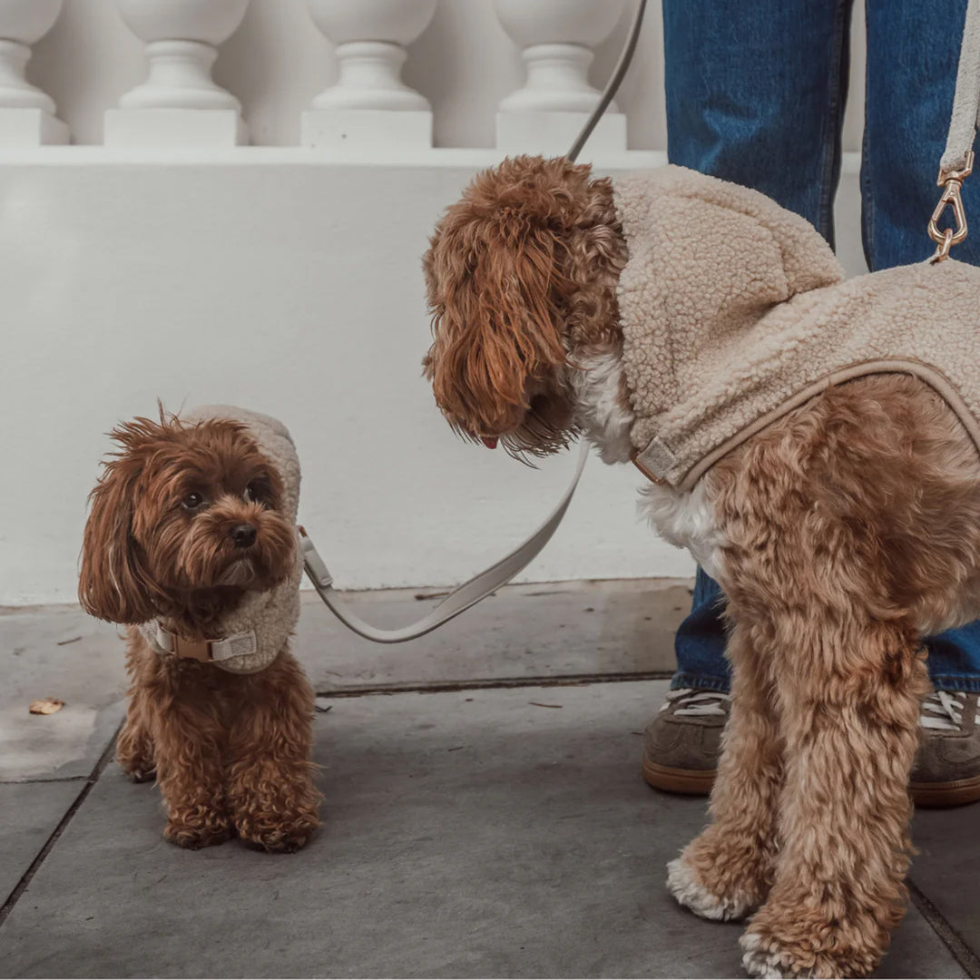 By Teddy Cosy Dog Hoodie with Harness