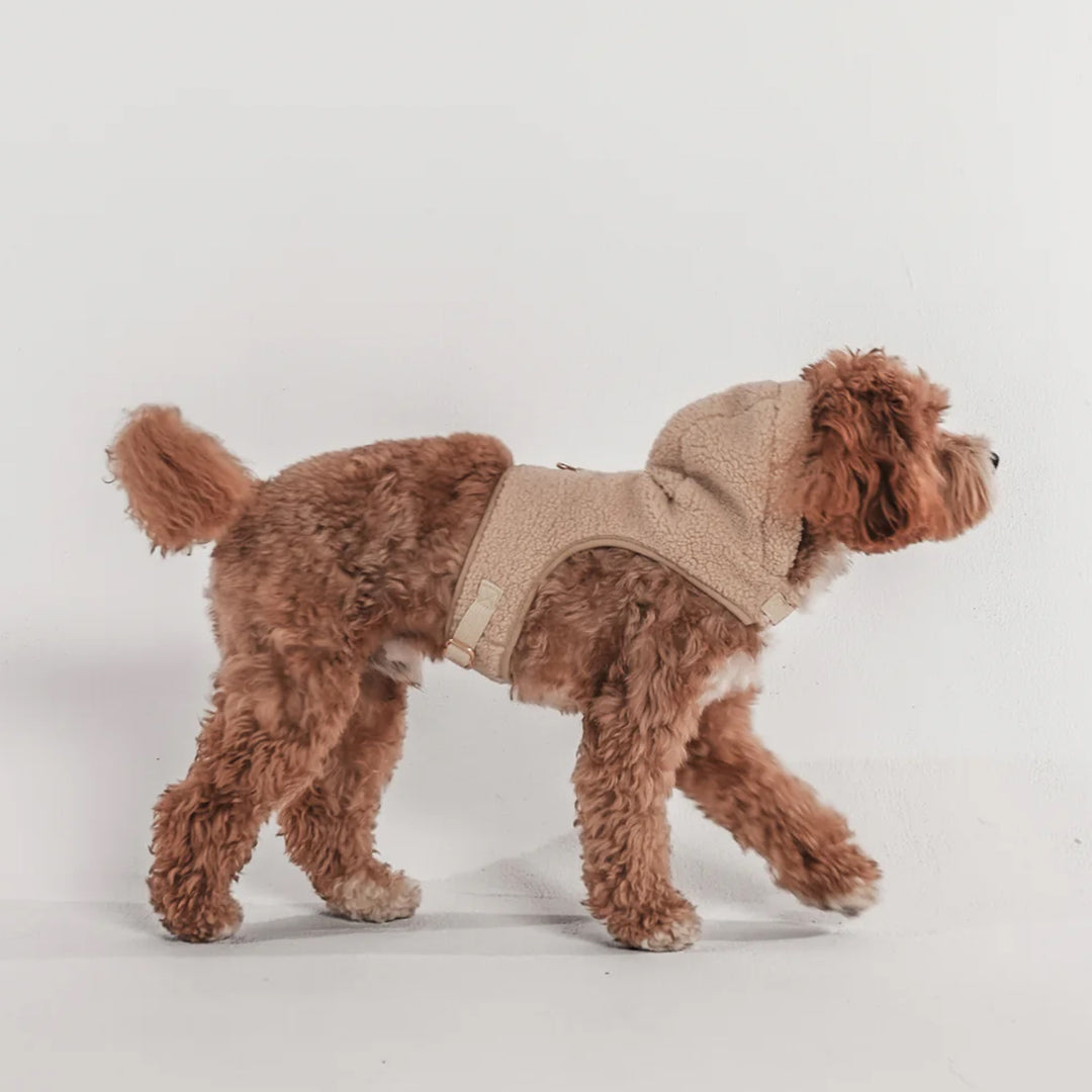 By Teddy Cosy Dog Hoodie with Harness