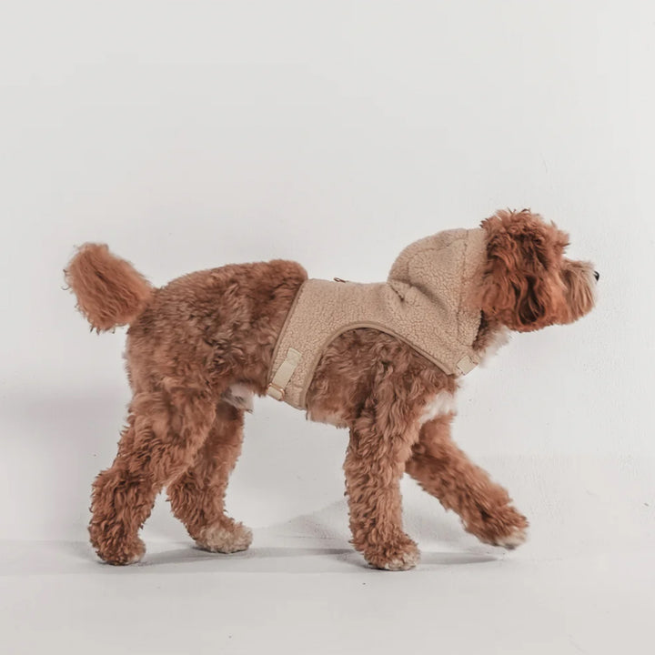 By Teddy Cosy Dog Hoodie with Harness