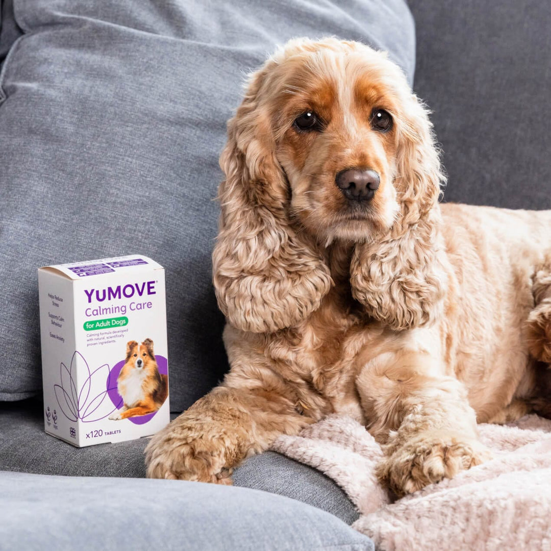 YuCalm Calming Tablets for Dogs