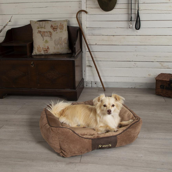 Scruffs Chester Box Bed