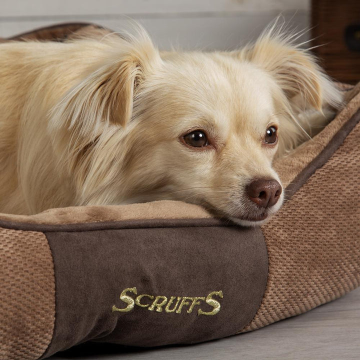 Scruffs Chester Box Bed
