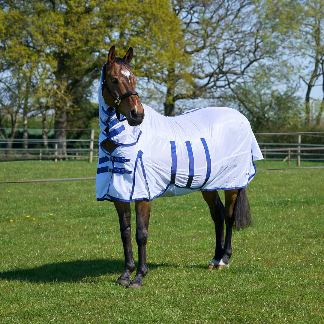Millbry Hill Classic Fly Rug