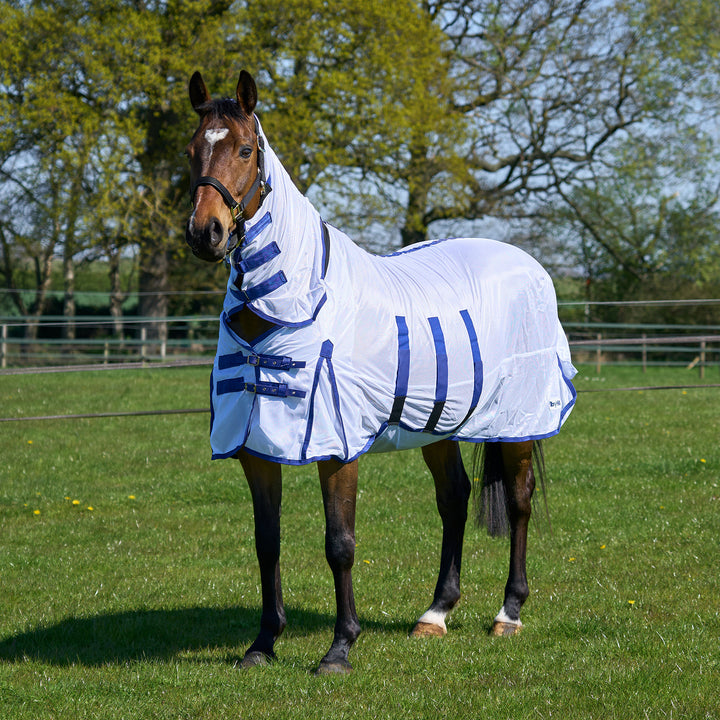 Millbry Hill Classic Fly Rug
