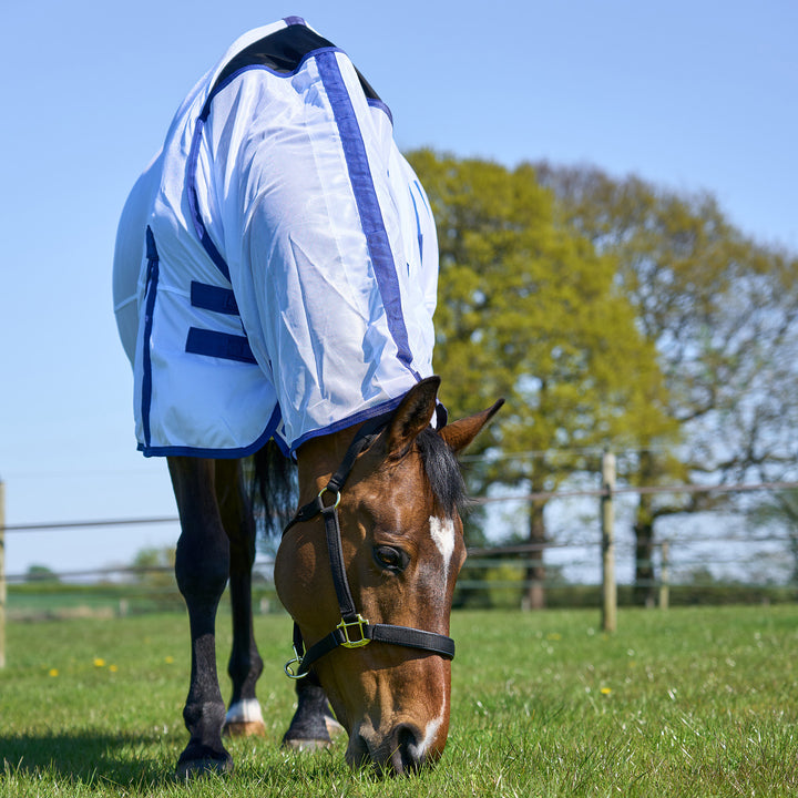 Millbry Hill Classic Fly Rug