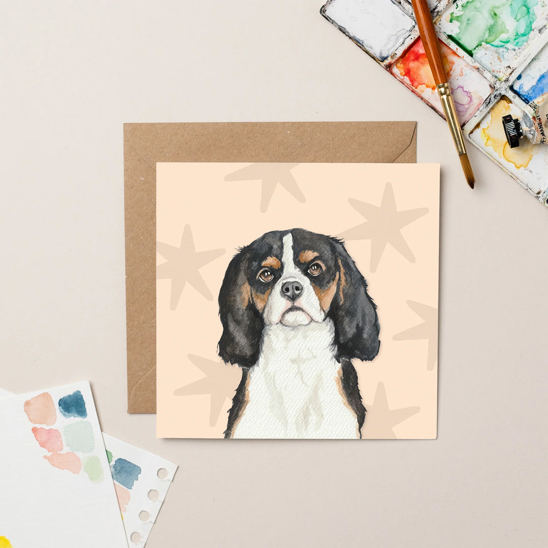 Lil Wabbit King Charles Spaniel - Connie