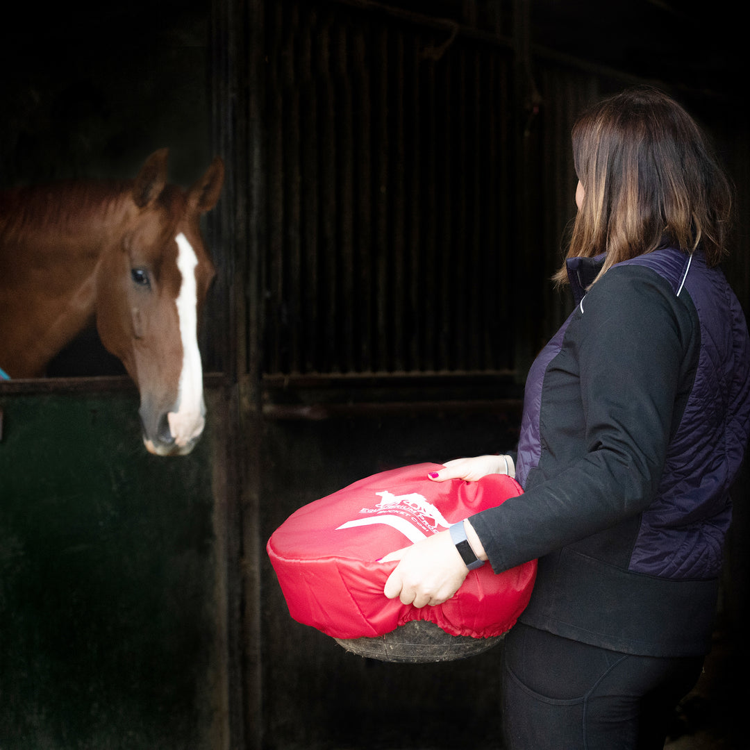 Equilibrium Bucket Cosi