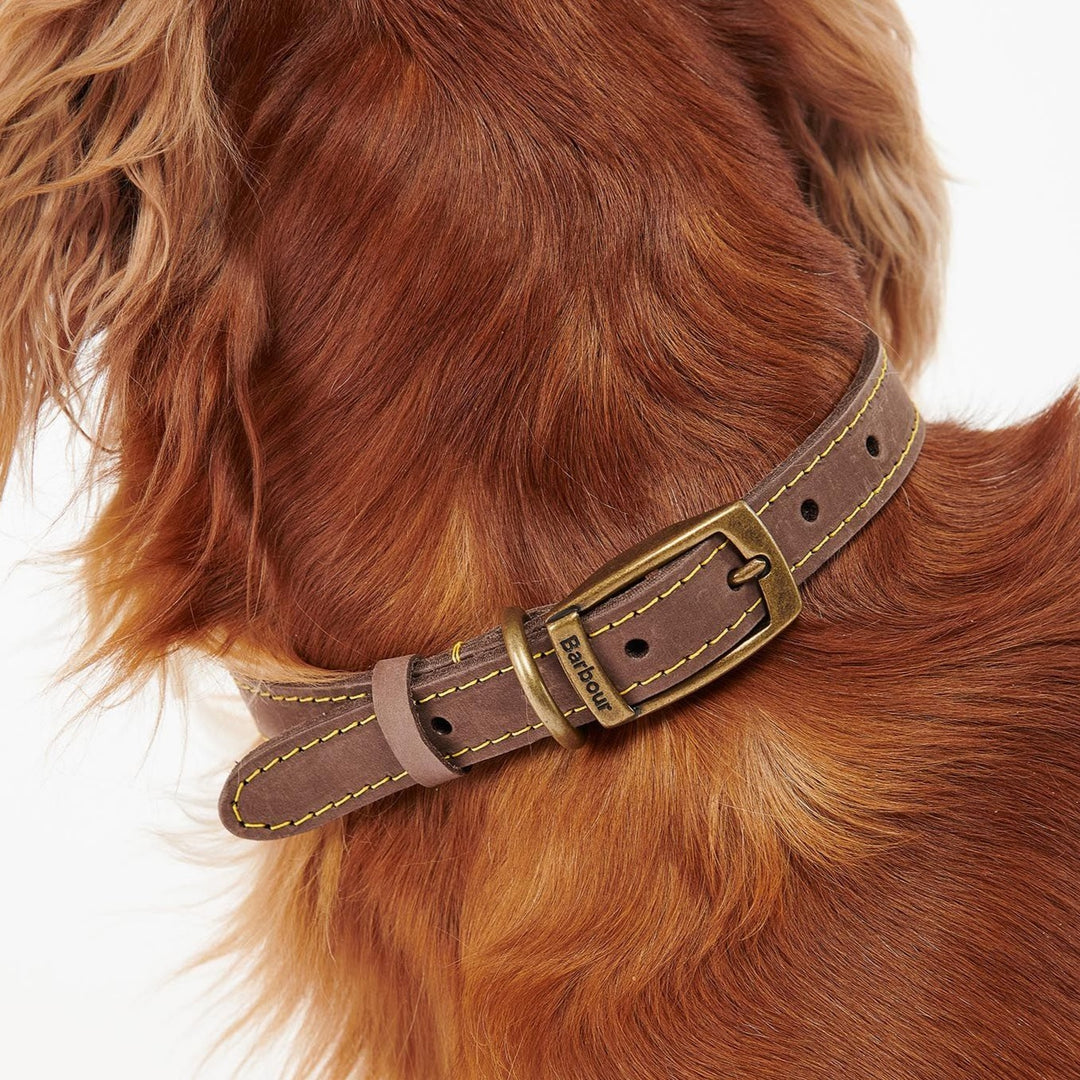 Barbour Leather Dog Collar