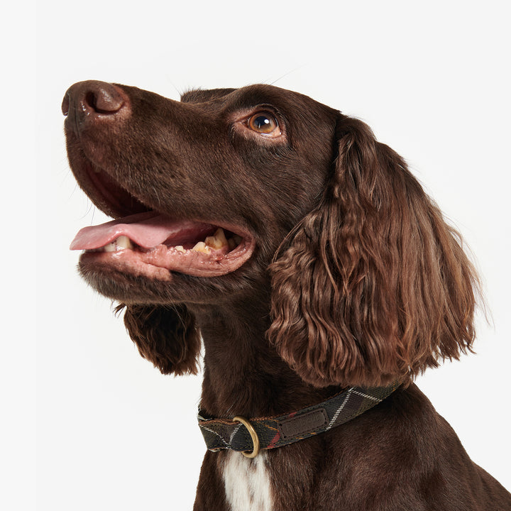 Barbour Classic Tartan Webbing Collar