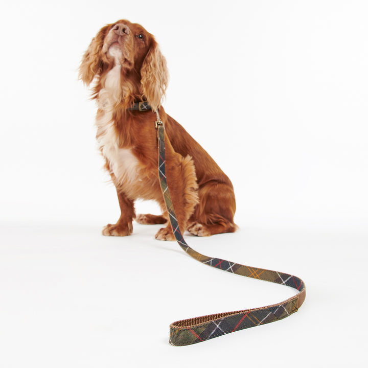 Barbour Classic Tartan Webbing Dog Lead