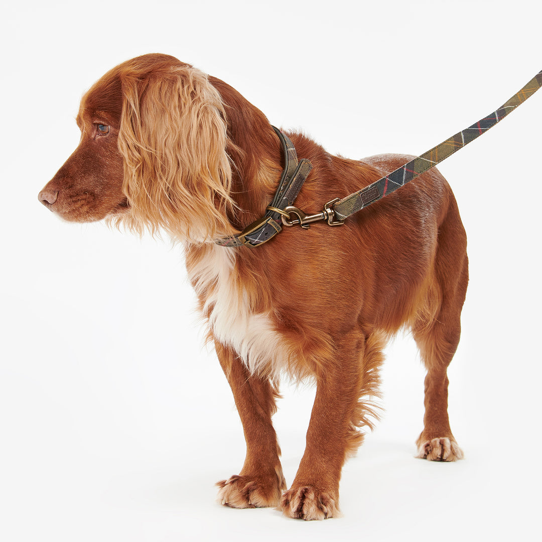 Barbour Classic Tartan Webbing Dog Lead