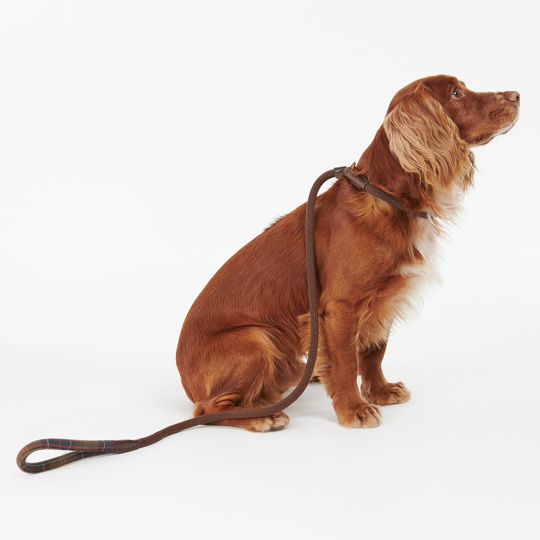 Barbour Tartan Trimmed Slip Lead
