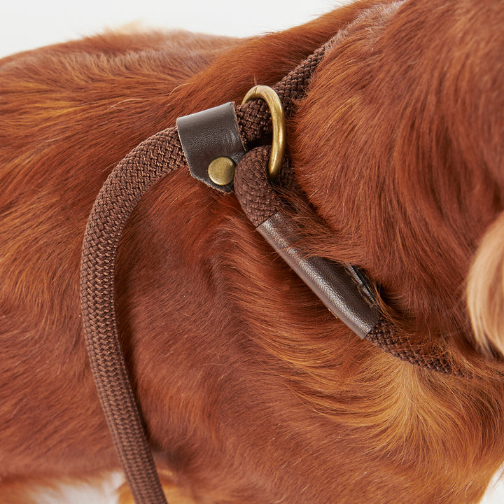 Barbour Tartan Trimmed Slip Lead