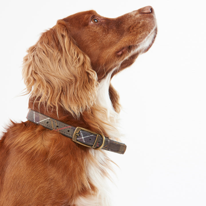 Barbour Tartan & Leather Dog Collar