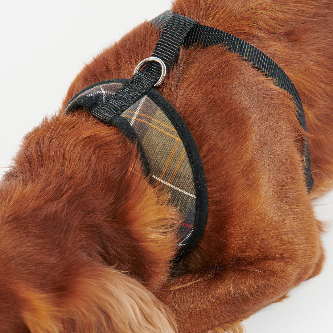 Barbour Tartan Dog Harness#Olive Check
