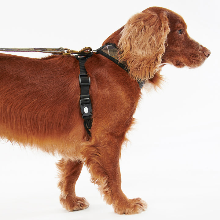 Barbour Tartan Dog Harness#Olive Check