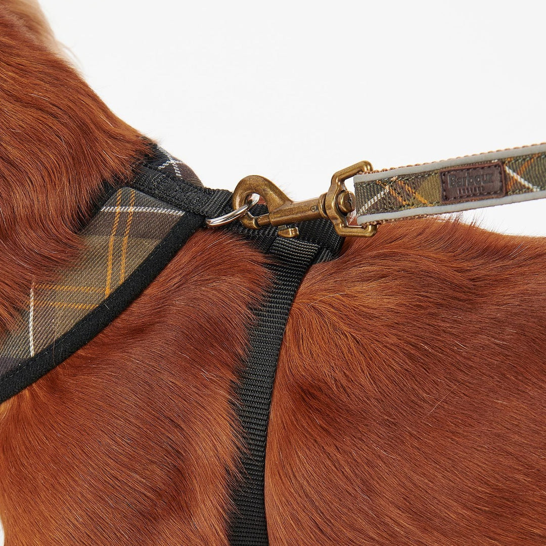 Barbour Tartan Dog Harness