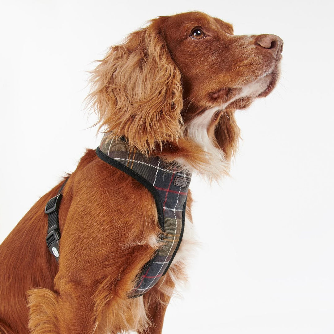 Barbour Tartan Dog Harness