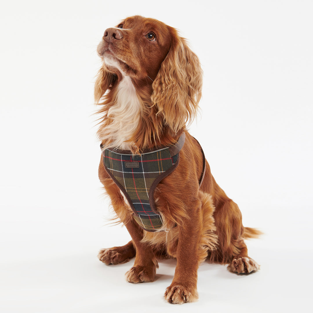 Barbour Classic Tartan Travel & Exercise Harness