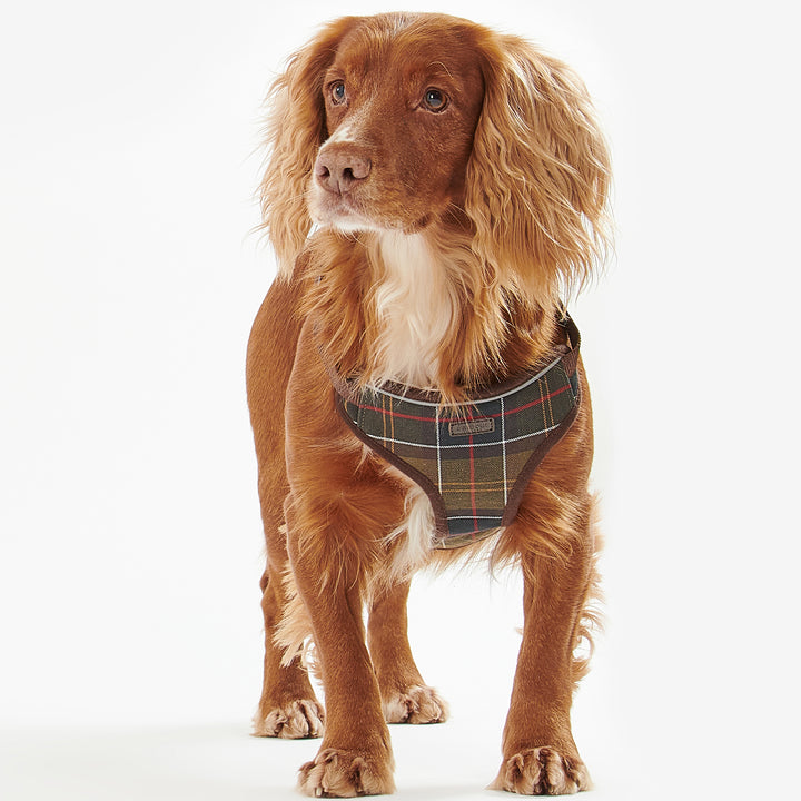 Barbour Classic Tartan Travel & Exercise Harness