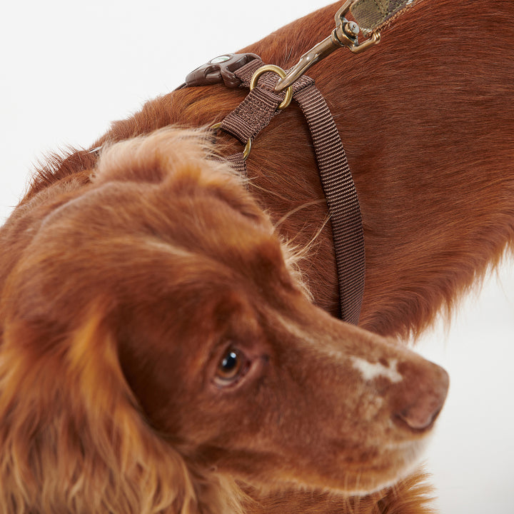 Barbour Classic Tartan Travel & Exercise Harness