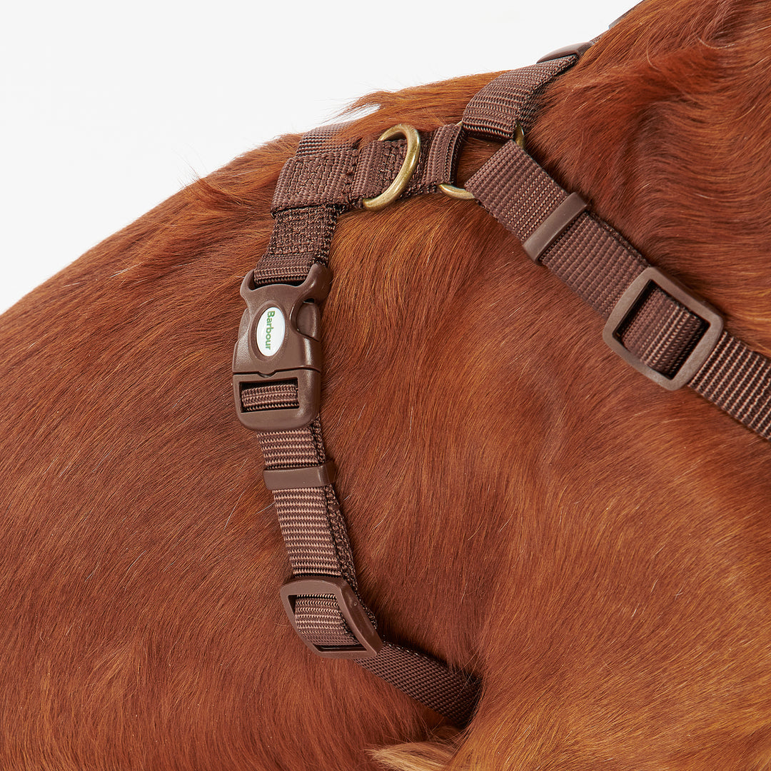 Barbour Classic Tartan Travel & Exercise Harness