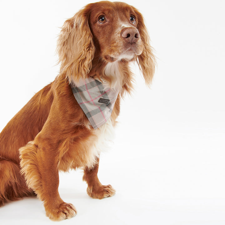 Barbour Tartan Bandana for Dogs#Pink