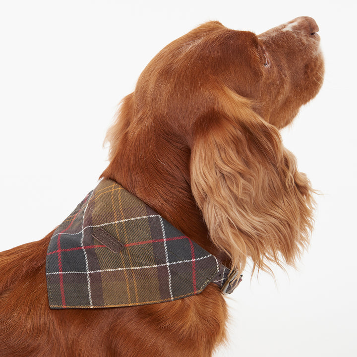 Barbour Tartan Bandana for Dogs#Green Check