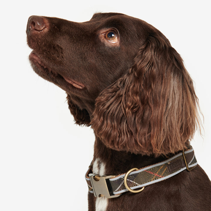 Barbour Reflective Tartan Dog Collar