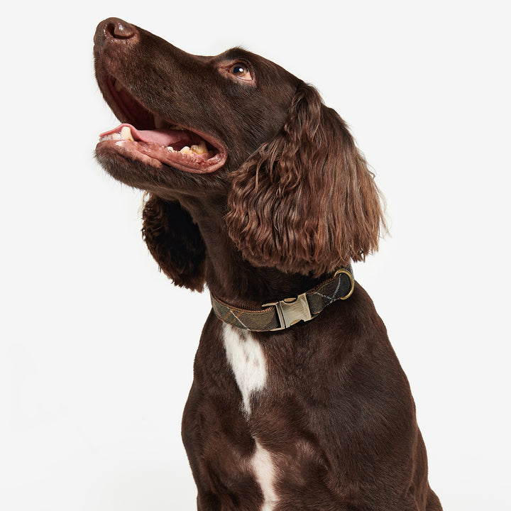 Barbour Reflective Tartan Dog Collar
