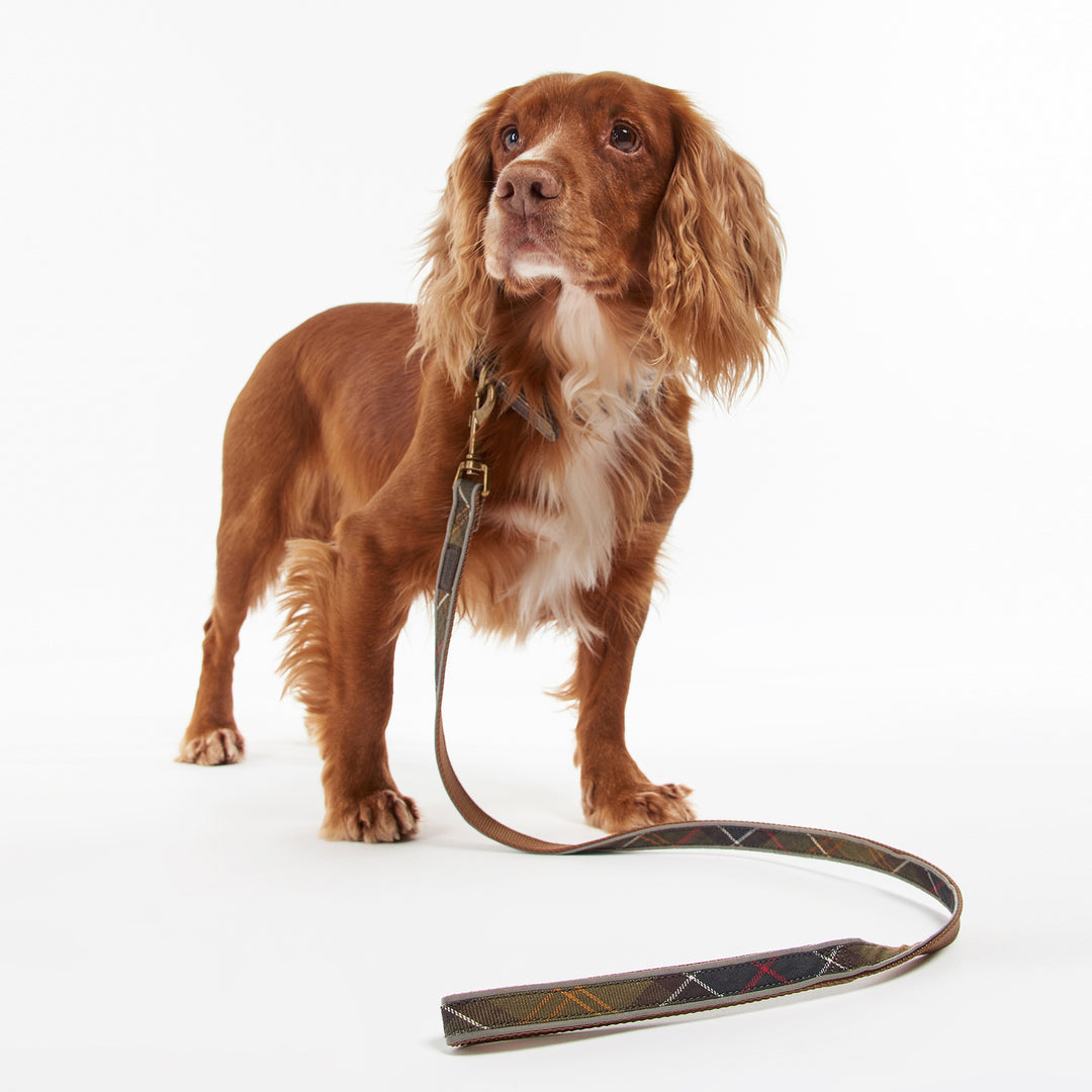 Barbour Reflective Tartan Dog Lead