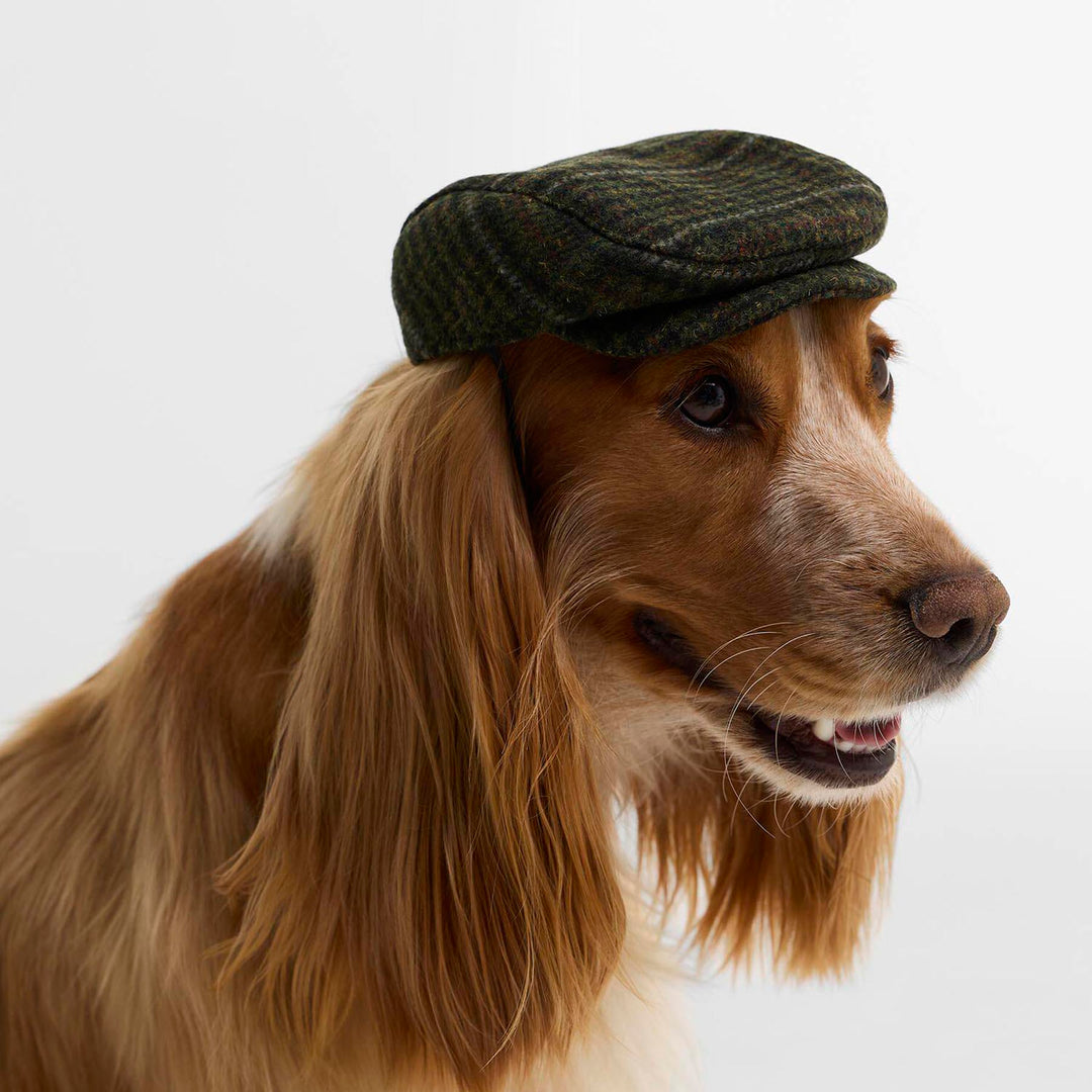 Barbour Wilkin Dog Flat Cap