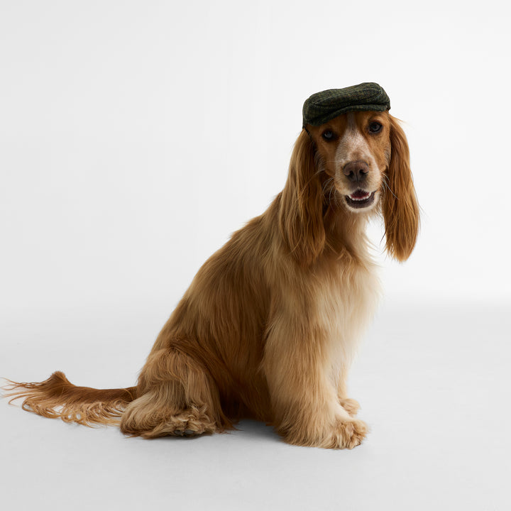 Barbour Wilkin Dog Flat Cap