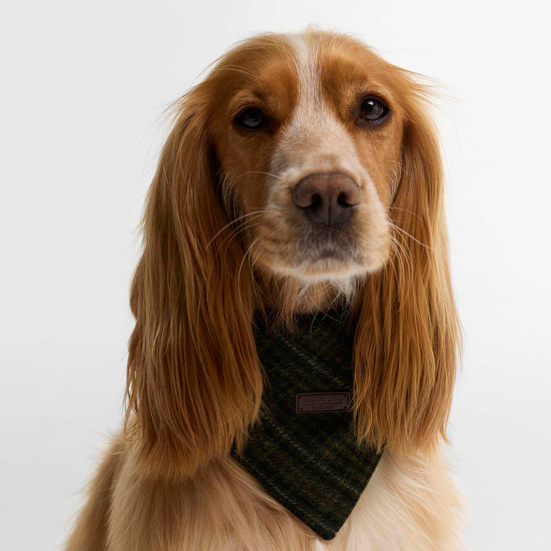 Barbour Wilkin Dog Bandana