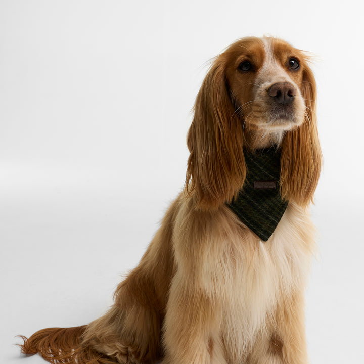 Barbour Wilkin Dog Bandana