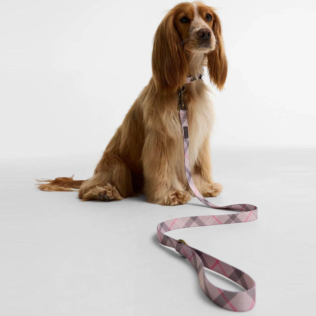 Barbour Tartan Printed Dog Lead
