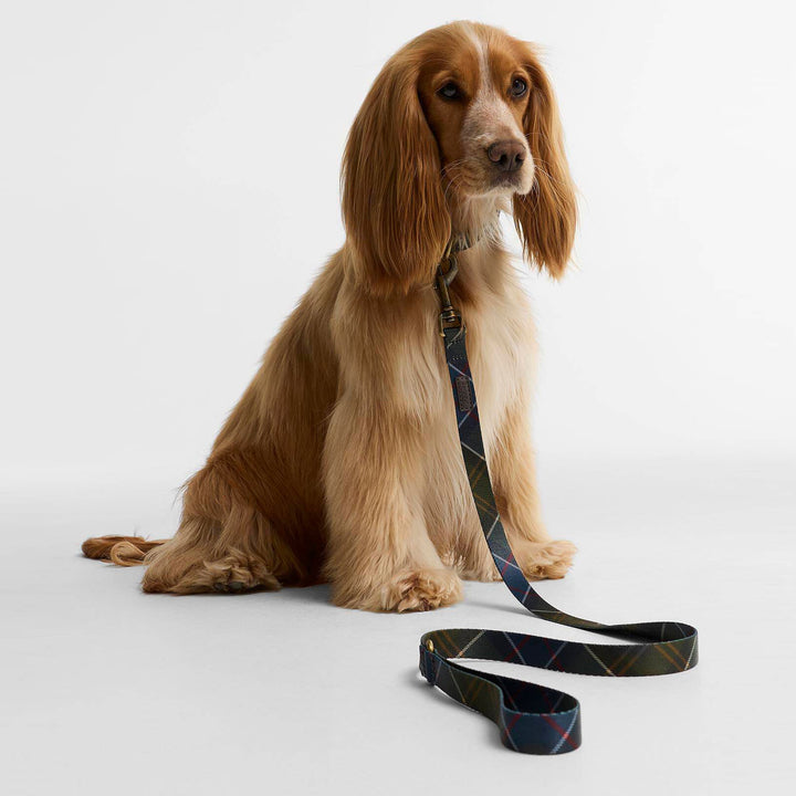 Barbour Tartan Printed Dog Lead
