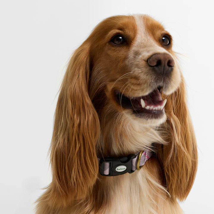 Barbour Tartan Printed Dog Collar