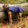 Danish Design 3-in-1 Dog Coat