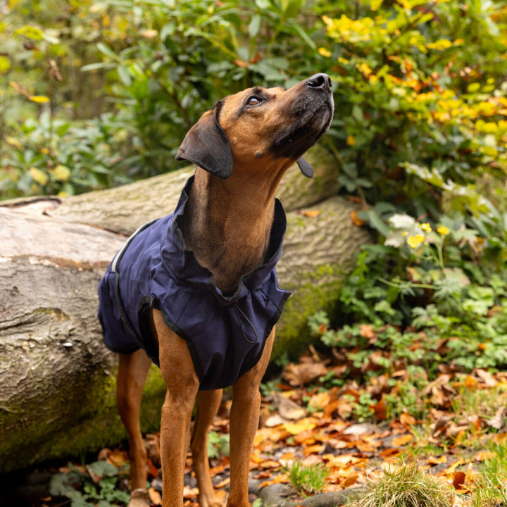 Danish Design 3-in-1 Dog Coat