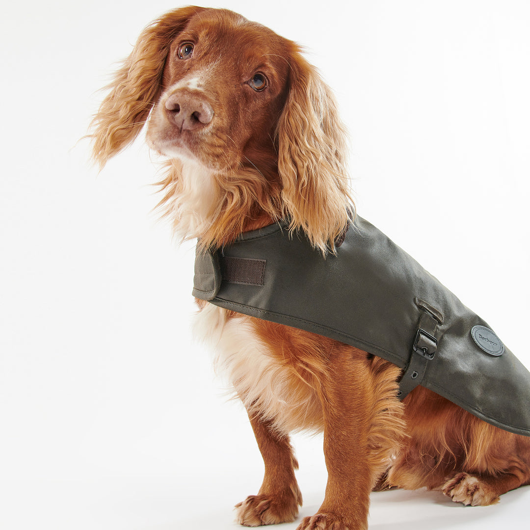 Barbour Waxed Cotton Dog Coat#Green