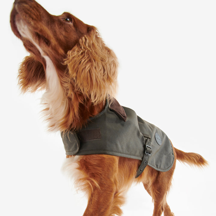 Barbour Waxed Cotton Dog Coat#Green