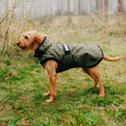 Danish Design 3-in-1 Dog Coat