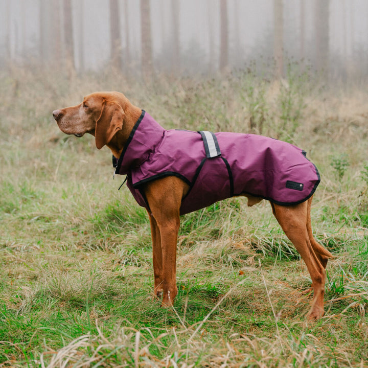 Danish Design 3-in-1 Dog Coat