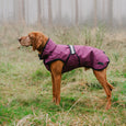 Danish Design 3-in-1 Dog Coat